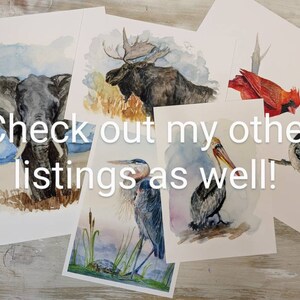 May include: Five watercolor paintings of different animals, including an elephant, a moose, a cardinal, a heron, and a pelican. The paintings are on white paper and have a light blue background.