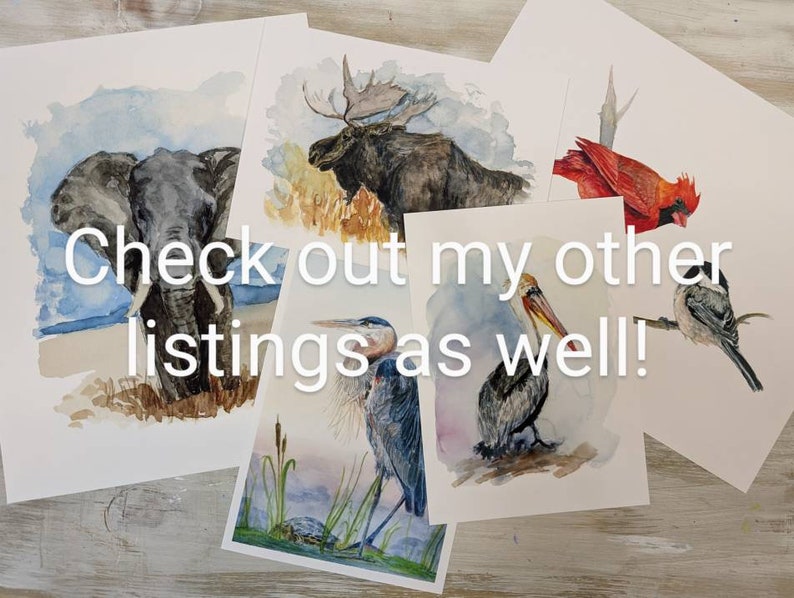 May include: Five watercolor paintings of different animals, including an elephant, a moose, a cardinal, a heron, and a pelican. The paintings are on white paper and have a light blue background.