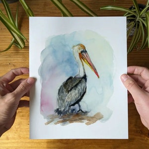 Pelican Fine Art Print - Watercolor Design - Coastal Wall Decor - Lora Cavallin Art Print Only