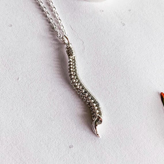 Chiropractic Hanging Silver Plated Spine Necklace Scoliosis