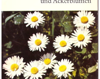 Freitag, Schwäble *** Wiesenblumen und Ackerblumen ***