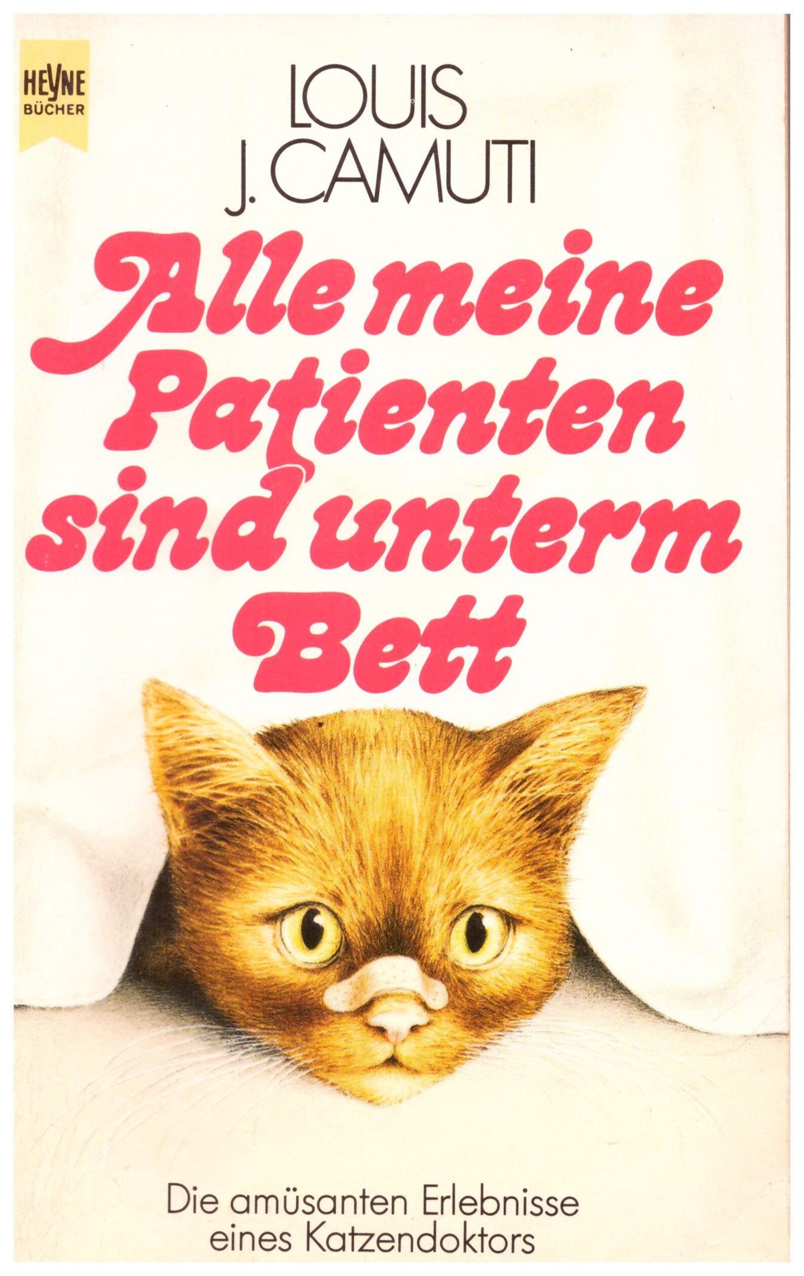 all my patients are under the bed all my patients are under the bed