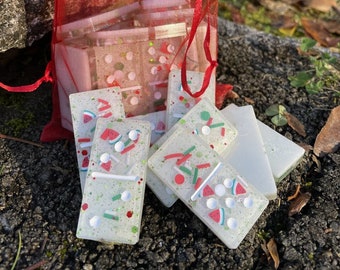 Watermelon and glitter resin Dominoes set