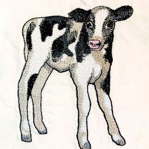 May include: A black and white calf with brown spots stands on a white background. The calf has a pink nose and large, dark eyes.