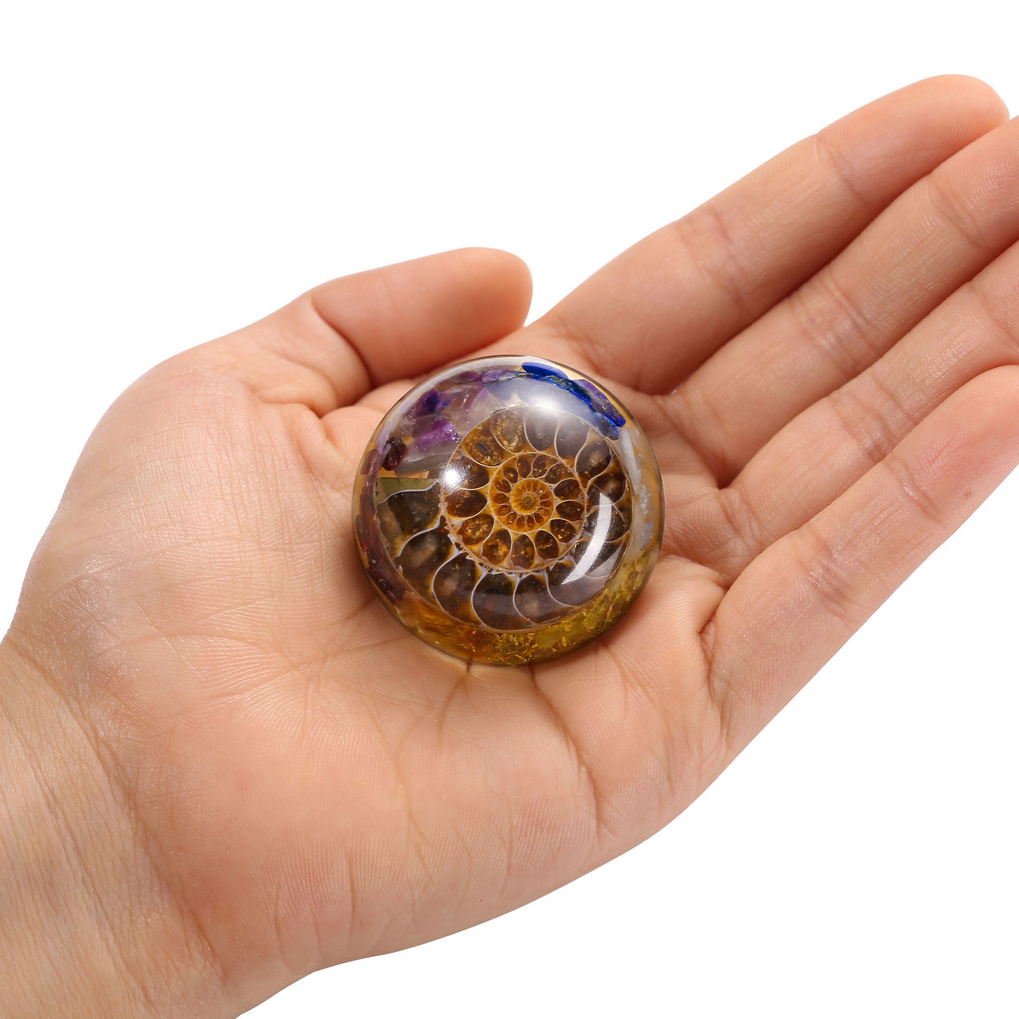 Möbelknöpfe/ 2er Set / Strand Nautischer Schubladengriff / | Etsy