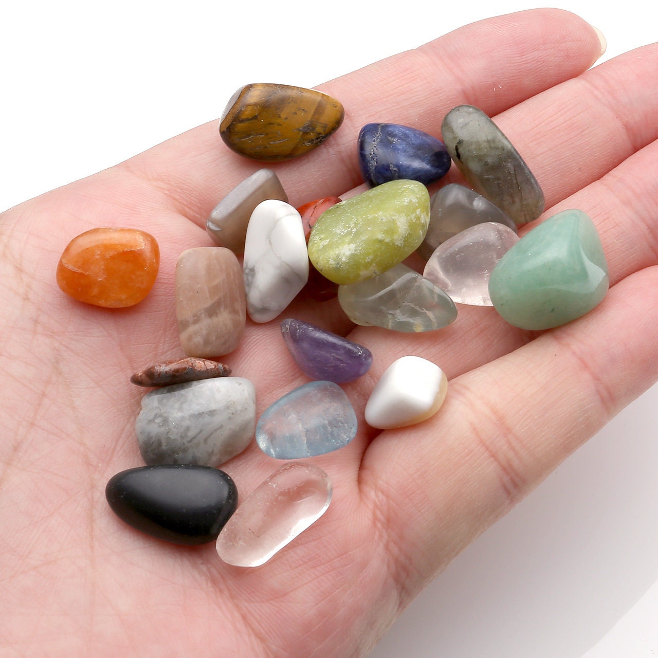 Rocks Collection/ Earth Science Kit/mineral Gem Beginner Etsy
