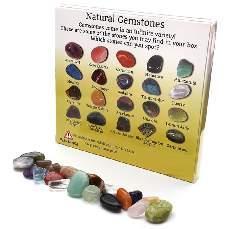 Rocks Collection/ Earth Science Kit/mineral Gem Beginner Etsy