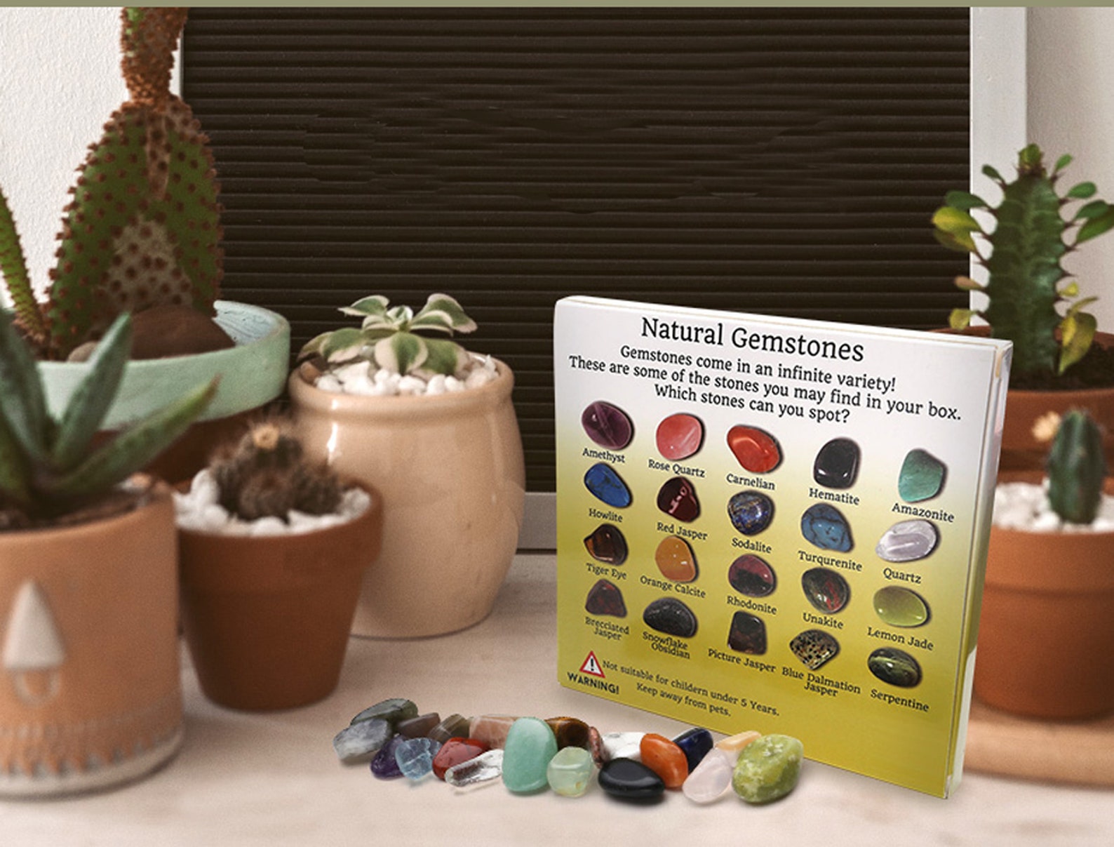 Rocks Collection/ Earth Science Kit/mineral Gem Beginner Etsy