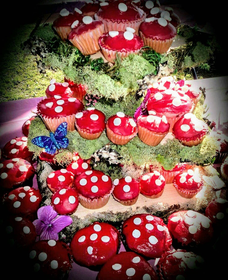 Woodland Cake Stand/rustic Wedding Cake Stand/cupcake Etsy Canada