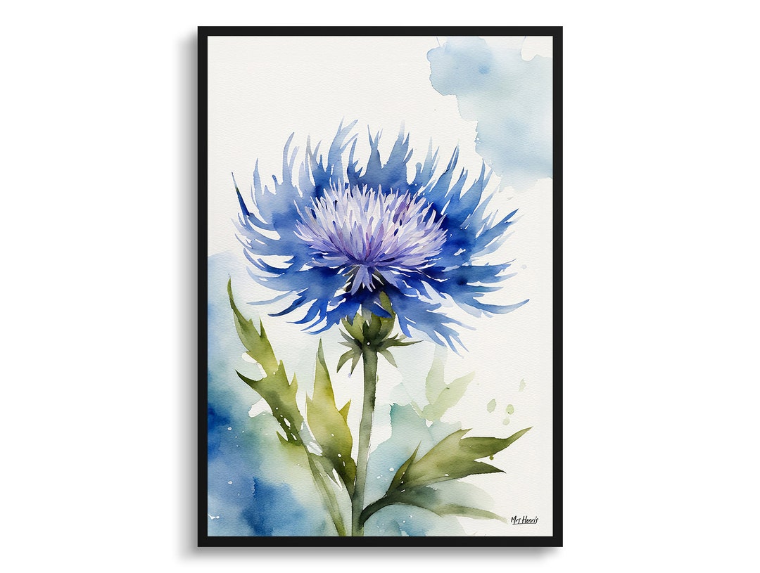 Centaurea Cyanus Blue Boy Watercolour Botanical Art Print - Cornflower ...