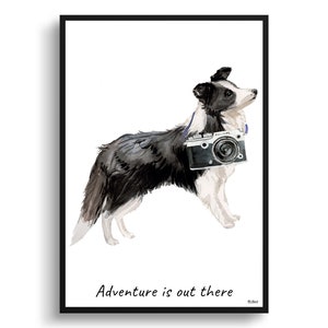 Adventure is out there Border Collie Dog print illustration. Framed & un-framed wall art options. Personalised name