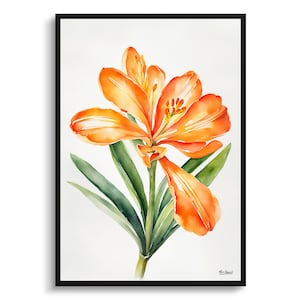 Clivia Minimalist Watercolour Botanical Art Print -  Natal bush lily Framed Plant Wall Art Flower Poster