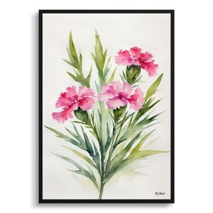 Dianthus Devon Wizard Minimalist Watercolour Botanical Art Print - Pink Framed Plant Wall Art Flower Poster