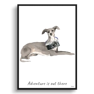 Adventure is out there Italian greyhound dog print illustration. Framed & un-framed wall art options. Personalised name.
