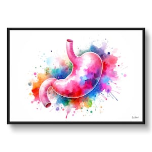 Stomach wall art print - Digestive System Gastroenterology Wall Art Print Watercolour Stomach Medical Doctor Clinic Poster Painting Gift