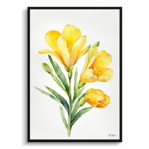 Freesia Minimalist Watercolour Botanical Art Print - Cape-cowslip Framed Plant Wall Art Flower Art