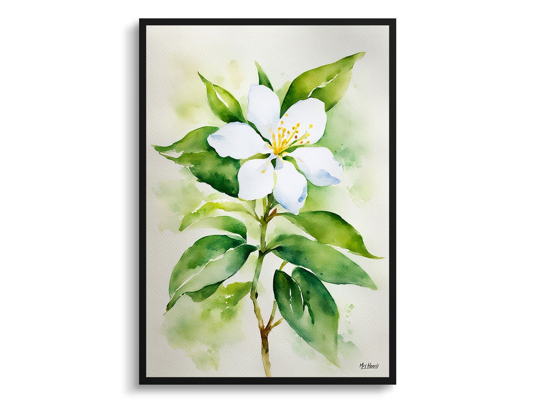 Jasmine Watercolour Botanical Art Print - Jasminum Officinale Floral ...