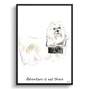 Adventure is out there Maltese dog print illustration. Framed & un-framed wall art options. Personalised name.