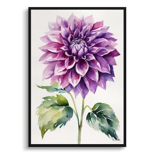 Dália roxa minimalista aquarela botânica impressão de arte-asteraceae floral emoldurado planta arte de parede pôster pintura de flores