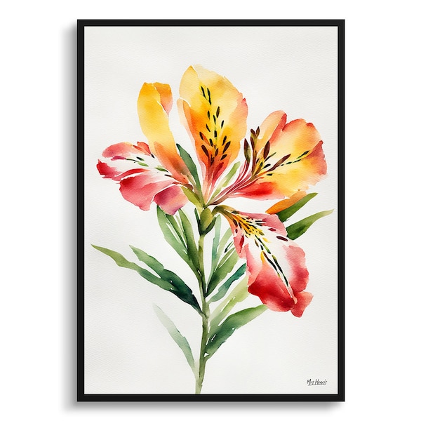 Peruvian Lily Plant - Etsy