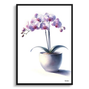 Moth Orchid Botanical Print - Watercolor Framed Painting Wall Art - Phalaenopsis amabilis Perfect gift for living room, bedroom