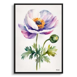 Anemone Minimalist Aquarell Botanischer Kunstdruck - Windblume Fingerhut Eingerahmt Pflanze Wand Kunst Poster Geschenk