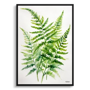 Onoclea Sensibilis minimalistische aquarel botanische kunstprint - gevoelige varen bloemen ingelijste plant muur kunst poster bloem schilderij