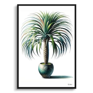 Paardenstaart Palm Botanische Print - Aquarel ingelijst schilderij Wall Art - Beaucarnea Recurvata Perfect cadeau voor woonkamer, slaapkamer of kantoor