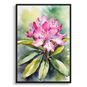 Rhododendron Aquarell Botanische Kunstdruck - Azalee Blumengerahmt Pflanze Wand Kunst Poster Blumenmalerei - Blumen Wohnkultur