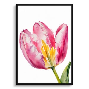 Pink tulip Minimalist Watercolour Botanical Art Print - Tulipa Floral Framed Plant Wall Art Poster Flower Painting