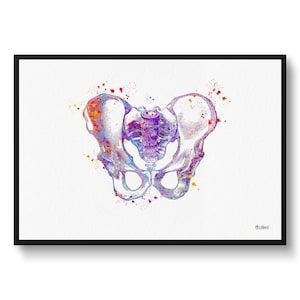 Pelvis Anatomy Watercolour Print Hip Bone Medical Doctor Nurse Office Clinic Wall Art - Waiting Room art print