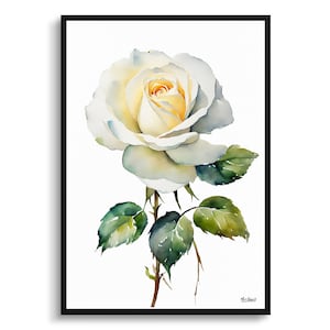 Rosa blanca minimalista acuarela arte botánico impresión - Alba floral enmarcado planta pared arte pintura de flores
