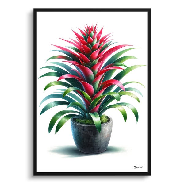 Bromeliads (Bromeliaceae) Botanical Print - Watercolor Framed Painting Wall Art - Perfect gift for living room, bedroom or office decor