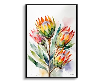 Proteas Watercolour Botanical Art Print -  King Protea Sugarbush Floral Framed Plant Wall Art Poster Flower Painting