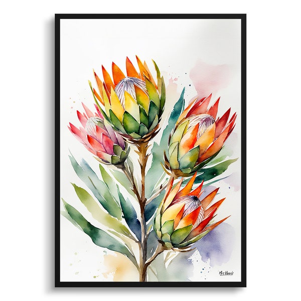 Proteas Watercolour Botanical Art Print -  King Protea Sugarbush Floral Framed Plant Wall Art Poster Flower Painting