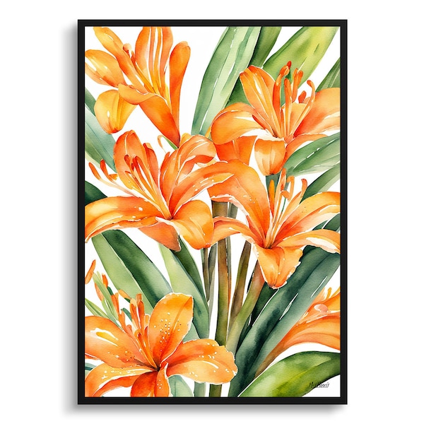 Clivia Watercolour Botanical Art Print -  Natal bush lily Framed Plant Wall Art Flower Poster