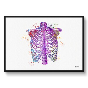 Thorax Watercolour Print Rib Cage Anatomy Medical Nurse & Doctor Office Clinic Wall Art Waiting Room Biology Science Teacher Professor gift