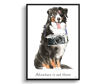 May include: A watercolour painting of a Bernese Mountain Dog wearing a blue strap with a vintage camera hanging around its neck. The dog is sitting and looking at the camera. The text "Adventure is out there" is written below the dog.