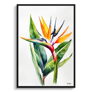 Stampa artistica botanica minimalista ad acquerello dell'Uccello del Paradiso - Fiore della gru Strelitzia Reginae Poster floreale con pianta da parete incorniciata