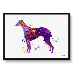 Greyhound Watercolour Dog Print - Splash Veterinary Decor Gift Dog Illustration Framed & Unframed Wall Art Print For Dog Lovers and Vets