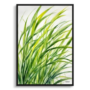 Carex Oshimensis Everillo Watercolour Botanical Art Print - Japanese Sedge Framed Plant Wall Art Flower Poster
