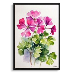 Rosa Geranie Minimalist Aquarell Botanische Kunst Druck - Rose Blumengerahmt Pflanze Wand Kunst Poster Blumenmalerei