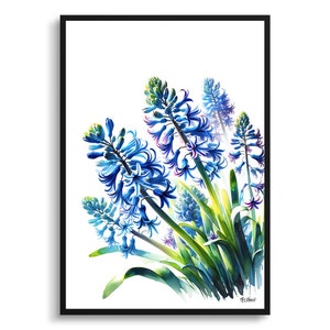 Botanische Kunst Wilde Hyazinthe (Camassia Leichtlinii) Gerahmte Pflanze Aquarell Malerei Wand Kunst Druck - Blume Boho Decor - Perfektes Geschenk