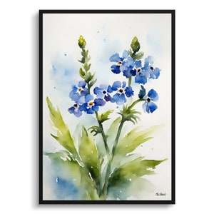 Cynoglossum Amabile Watercolour Botanical Art Print -  Chinese Forget-me-not Framed Plant Wall Art Flower Poster