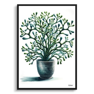 Mistelzweig Kaktus Druck - Aquarell gerahmte Gemälde Wandkunst - Rhipsalis baccifera Perfektes Geschenk für Wohnzimmer, Schlafzimmer oder Büro