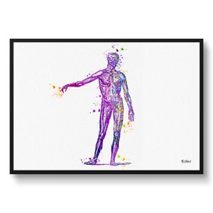 Body Watercolour Print Human Muscular System Anatomy Medical Nurse Doctor Office Clinic Wall Art - Framed & Unframed Waiting Room Art Print