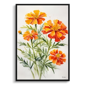 Tagetes Cinnabar Minimalist Watercolour Botanical Art Print -  African Marigold Floral Framed Plant Wall Art Flower Painting