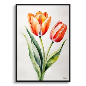 Tulipa Salmon Impression Minimalist Watercolour Botanical Art Print - Tulip Floral Framed Plant Wall Art Poster Flower Painting