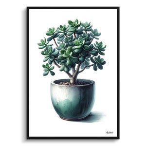 May include: A green succulent plant in a light blue and white ceramic pot. The plant has thick, fleshy leaves and a single stem.