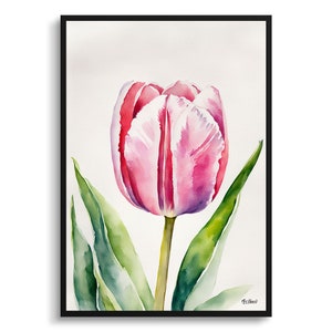 Pink tulip Watercolour Botanical Art Print - Tulipa Floral Framed Plant Wall Art Poster Flower Painting